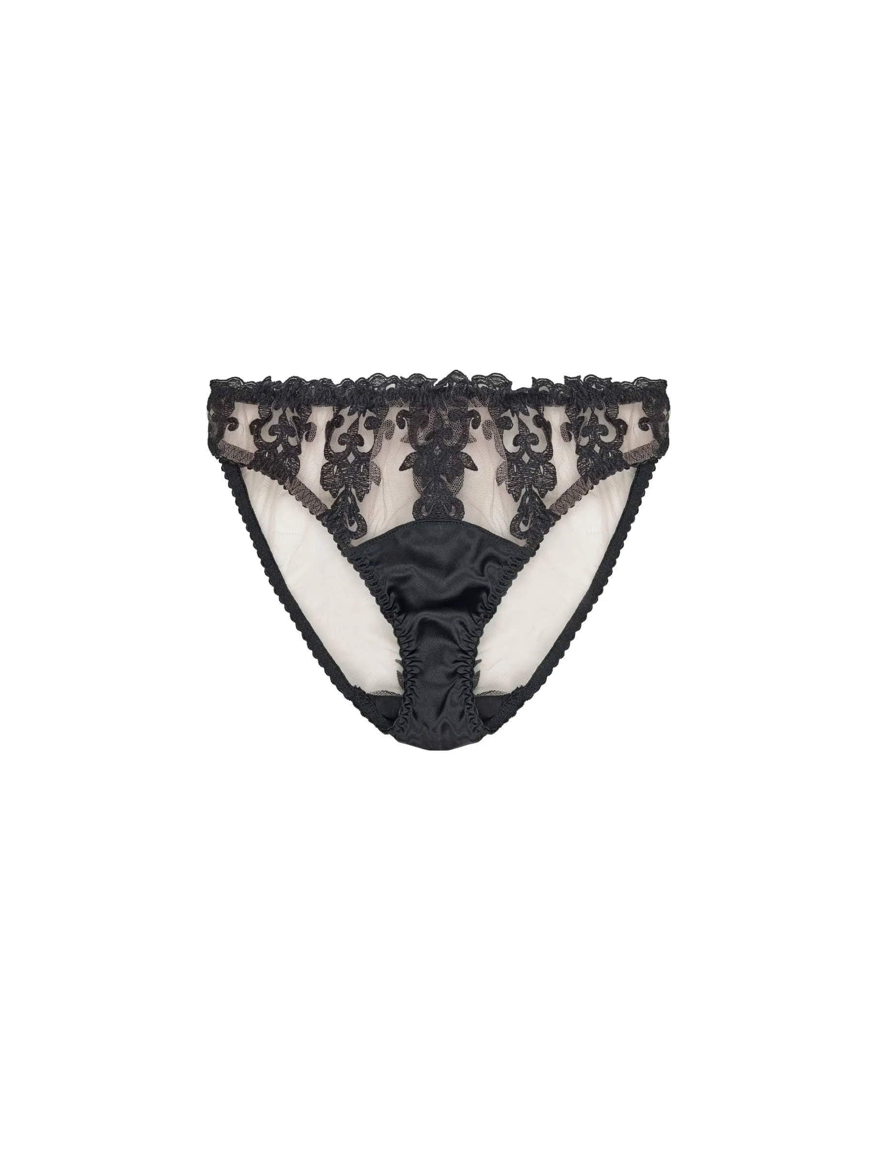 Onyx Embroidered Brief